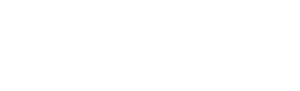 Toystovan logo